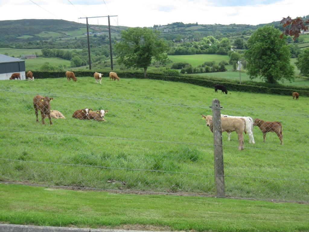 The Arches Farmhouse B&B Arvagh Exterior foto